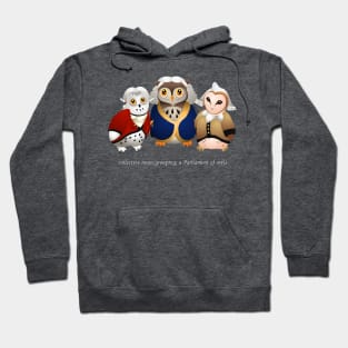 A Parliament of Owls Hoodie